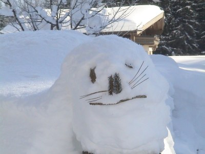 Holiday apartment im Haus Wenin an den Kitzbüheler Alpen - Environment photo 21