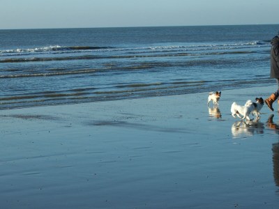 Holiday apartment Familie Wardenaar - Environment photo 26