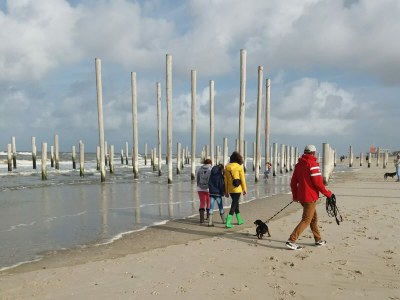 Holiday apartment Familie Wardenaar - Environment photo 28