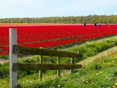 Holiday apartment Familie Wardenaar - Environment photo 31