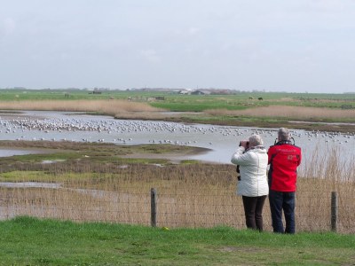 Holiday apartment Familie Wardenaar - Environment photo 32