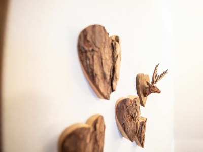 Holiday apartment Gipfelstürmer - Features photo 31