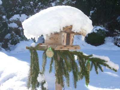 Holiday apartment Haus Julia - Outdoor photo 8