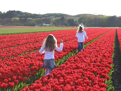 Apartment Zelden Pas - 2 Persons - Environment photo 13