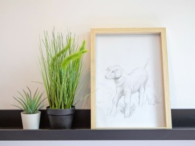 Holiday house Seaweed - Features photo 30