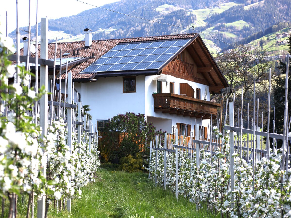 Holiday apartment Abendrot - Outdoor photo 4