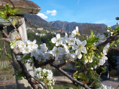 Holiday apartment Abendrot - Outdoor photo 8