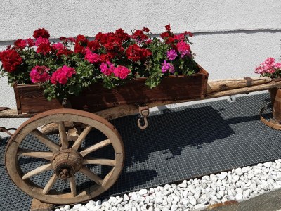 Holiday apartment Abendrot - Environment photo 26