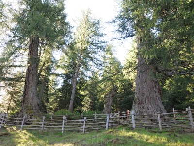 Holiday apartment LÃ¤rchenheim - Environment photo 17