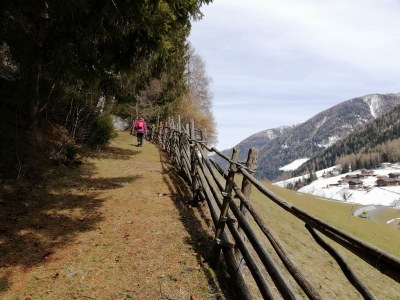 Holiday apartment LÃ¤rchenheim - Environment photo 20