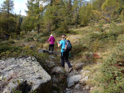 Holiday apartment LÃ¤rchenheim - Environment photo 21