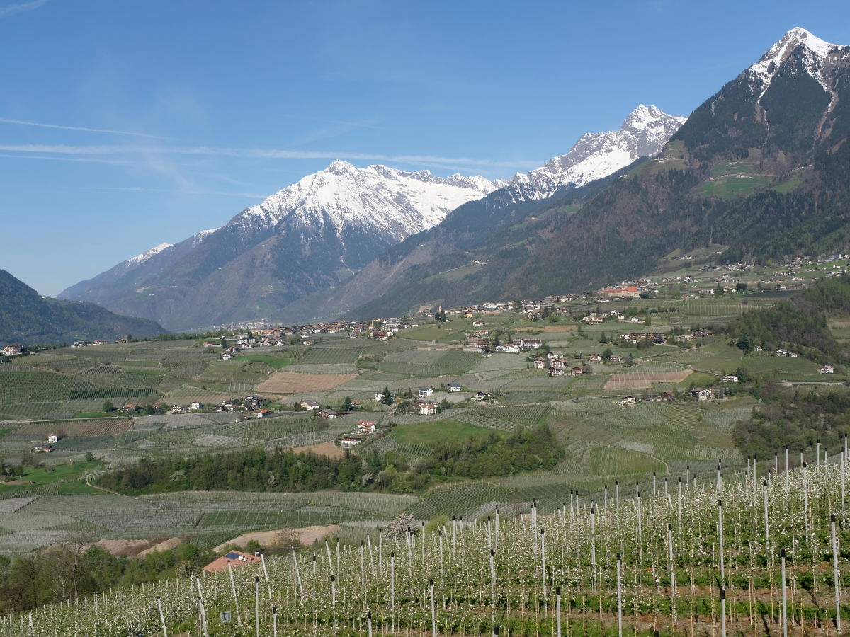 Holiday apartment Bellavista Schenna - Outdoor photo 2