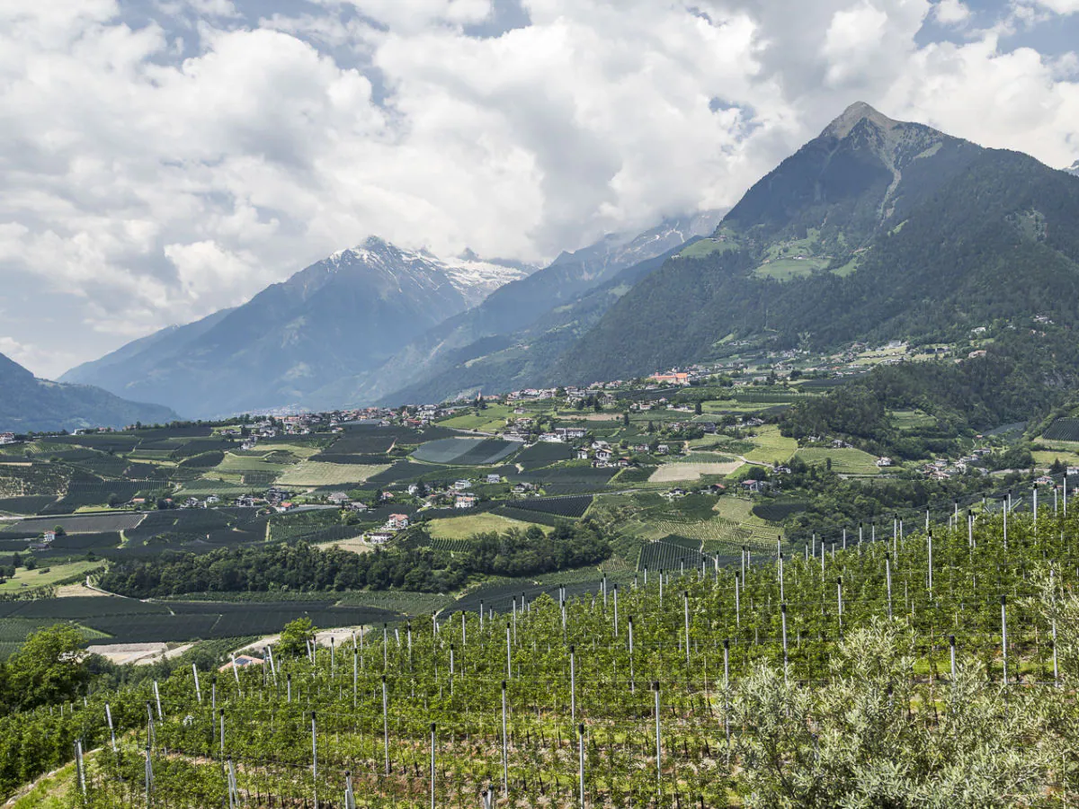 Holiday apartment Bellavista Schenna - Outdoor photo 3