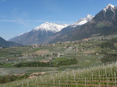 Holiday apartment Bellavista Schenna - Outdoor photo 2