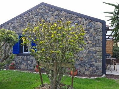 row house Casa Azul - Outdoor photo 3