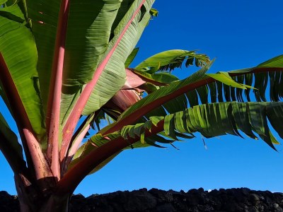 row house Casa Azul - Outdoor photo 13