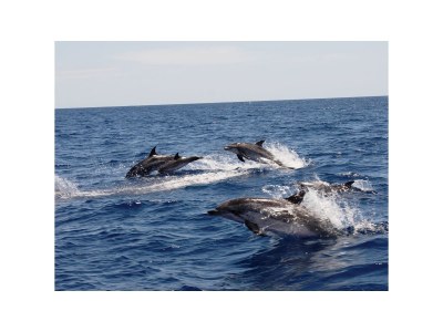 row house Casa Azul - Environment photo 23