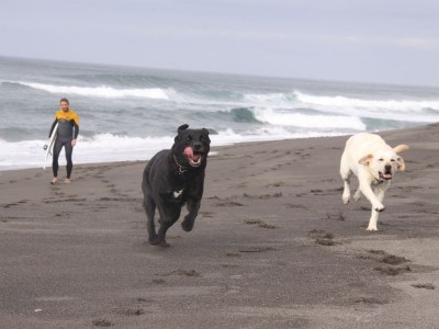 row house Casa Azul - Environment photo 27