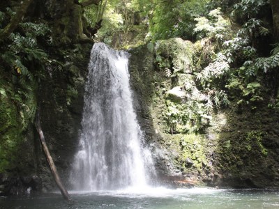 row house Casa Azul - Environment photo 28