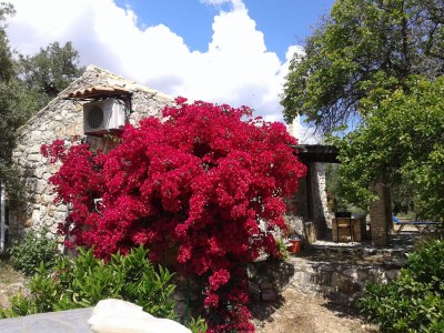 Holiday house Stone - Outdoor photo 3
