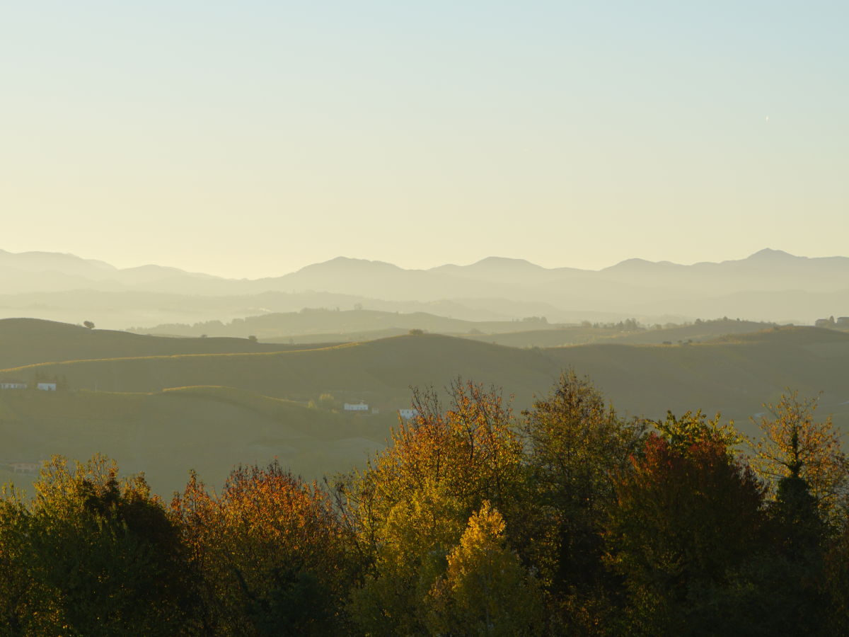 Holiday house Villa Pesce, Mombaruzzo - Outdoor photo 4