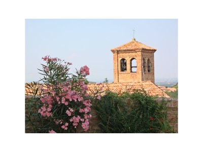 Holiday house Villa Pesce, Mombaruzzo - Outdoor photo 7