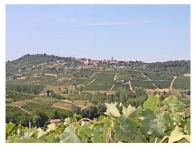 Holiday house Villa Pesce, Mombaruzzo - Environment photo 16