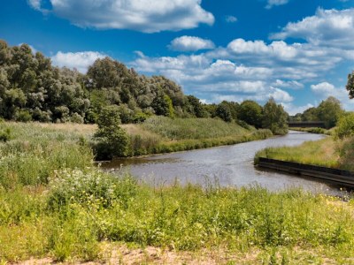 Holiday apartment Seestern - Environment photo 20