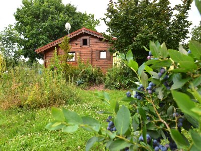 Holiday house Charmantes Ferienhaus mit eigenem Garten - Outdoor photo 8