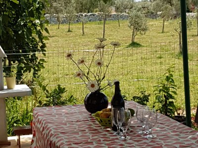 Holiday house Dama - Outdoor photo 11