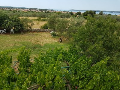 Holiday house Dama - Outdoor photo 14