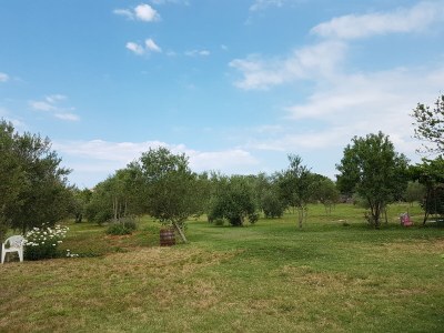 Holiday house Dama - Outdoor photo 16