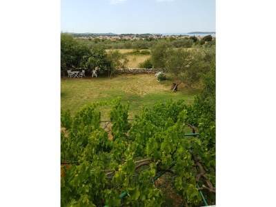 Holiday house Dama - Environment photo 30