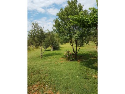 Holiday house Dama - Environment photo 31