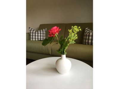 Holiday apartment Ifenblick - Features photo 14