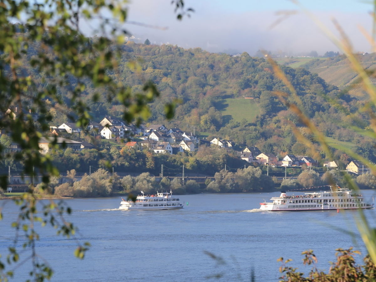 Holiday apartment Riesling - Outdoor photo 4