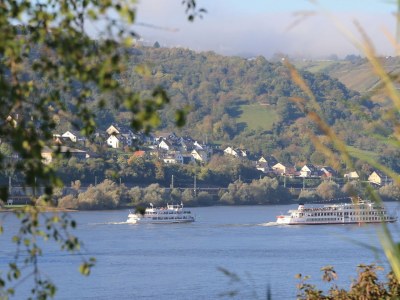 Holiday apartment Riesling - Outdoor photo 4