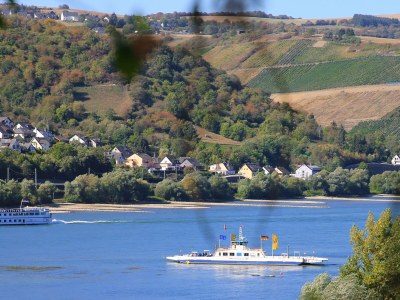 Holiday apartment Riesling - Outdoor photo 12