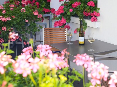 Holiday apartment Riesling - Outdoor photo 13