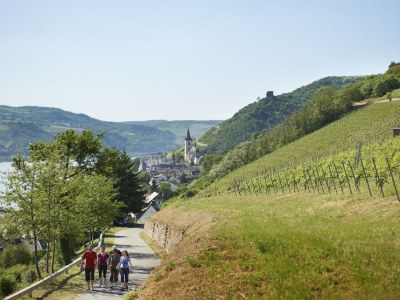 Holiday apartment Riesling - Environment photo 22