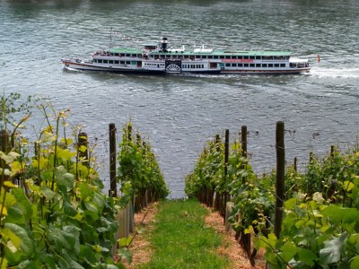 Holiday apartment Riesling - Environment photo 23