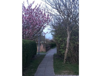 Holiday house Seestern Julianadorp Park Strandslag - Environment photo 24