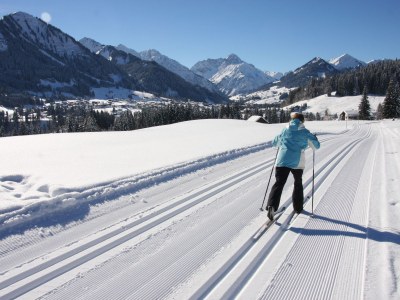 Holiday apartment Country House Harmony - Environment photo 37