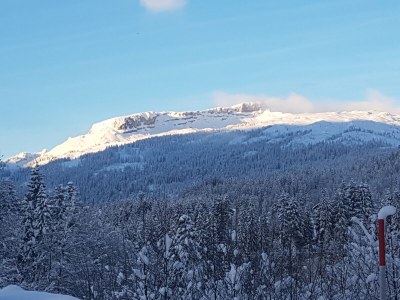 Holiday apartment Country House Harmony - Environment photo 39