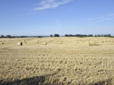 Farmhouse Gemütliches Appartement in Brusow mit Garten - Environment photo 33