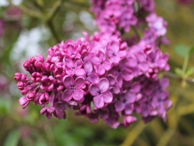 Farmhouse Gemütliches Appartement in Brusow mit Garten - Outdoor photo 35