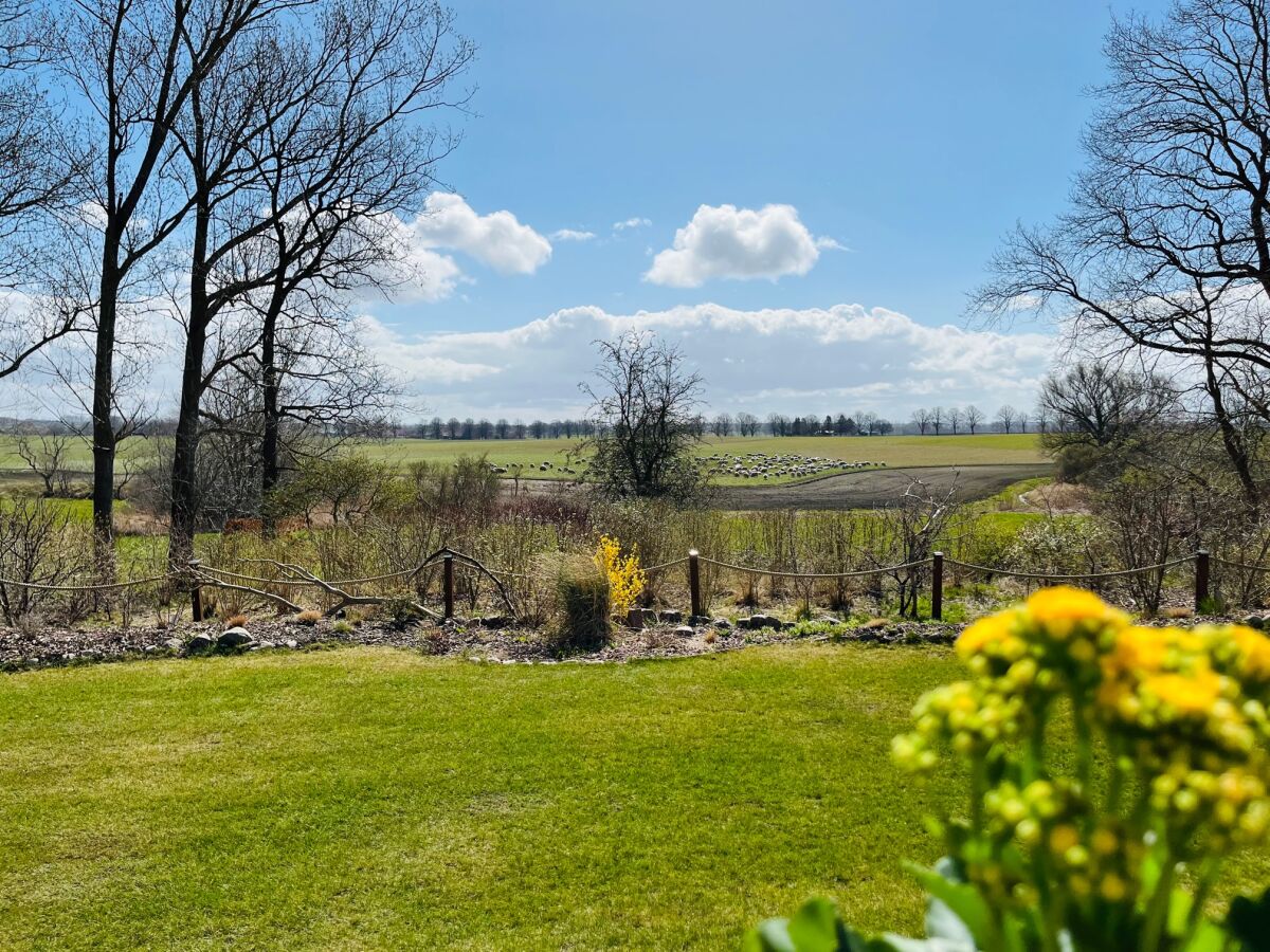 Holiday house Wiedblick - Outdoor photo 3