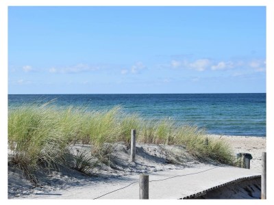 Holiday house Wiedblick - Environment photo 20