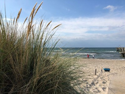 Holiday house Wiedblick - Environment photo 23