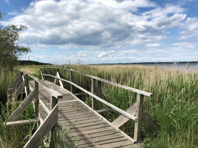 Holiday house Wiedblick - Environment photo 35